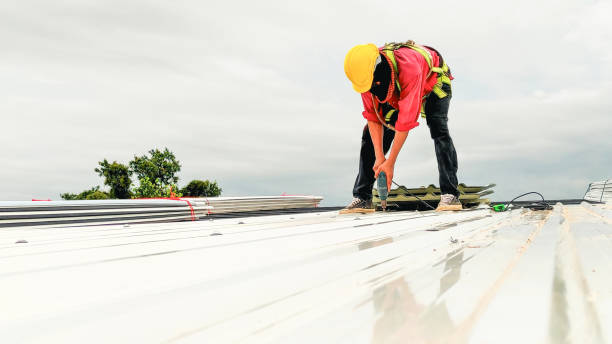 Best Roof Moss and Algae Removal  in Norco, CA
