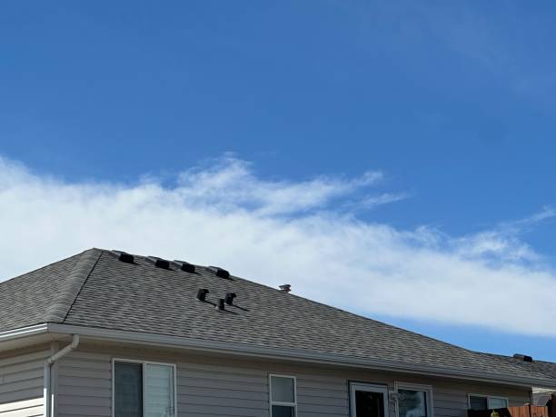 Best Roof Insulation Installation  in Norco, CA